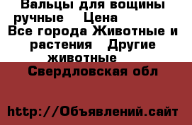 Вальцы для вощины ручные  › Цена ­ 10 000 - Все города Животные и растения » Другие животные   . Свердловская обл.